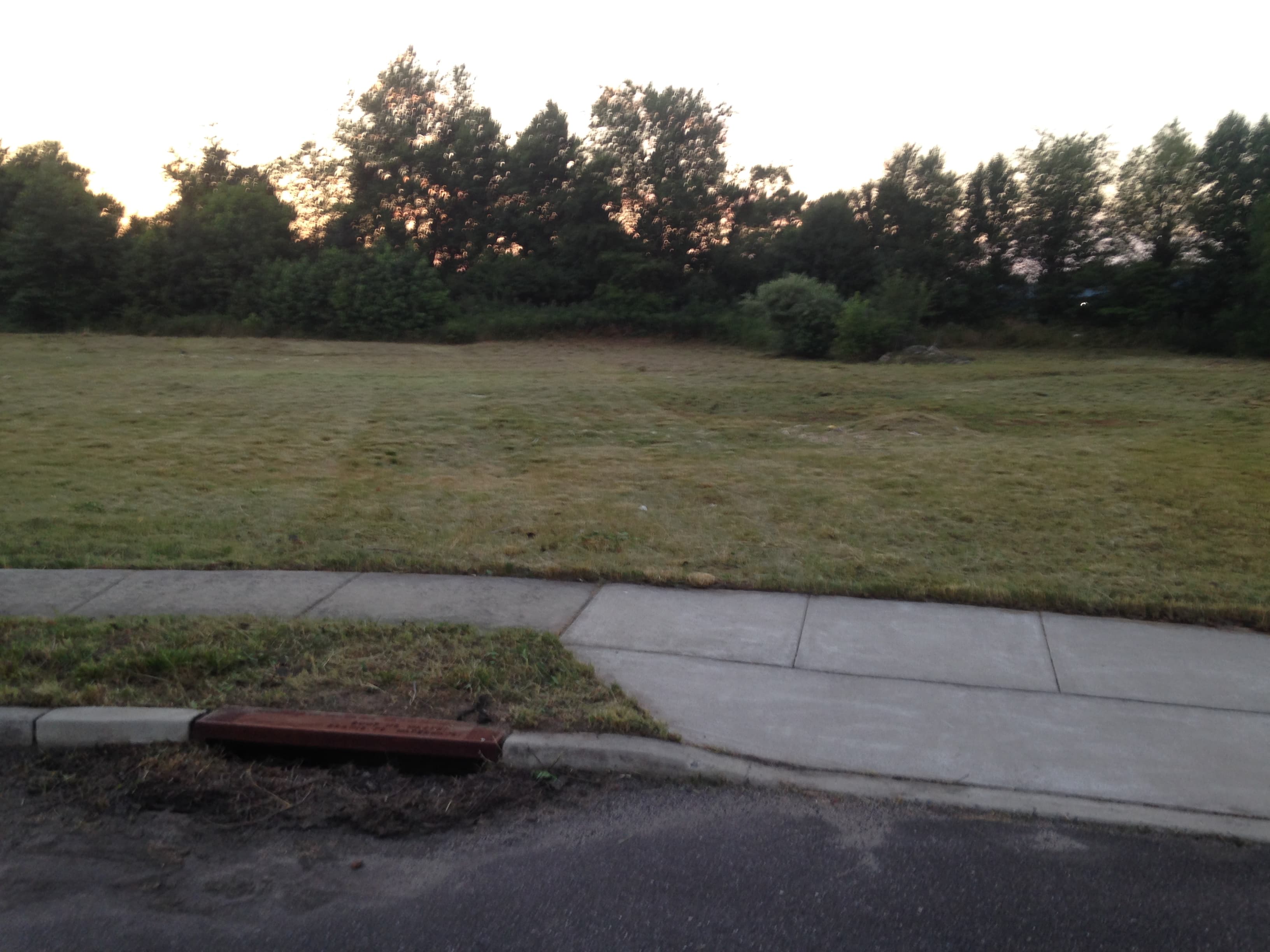 Lawn Service